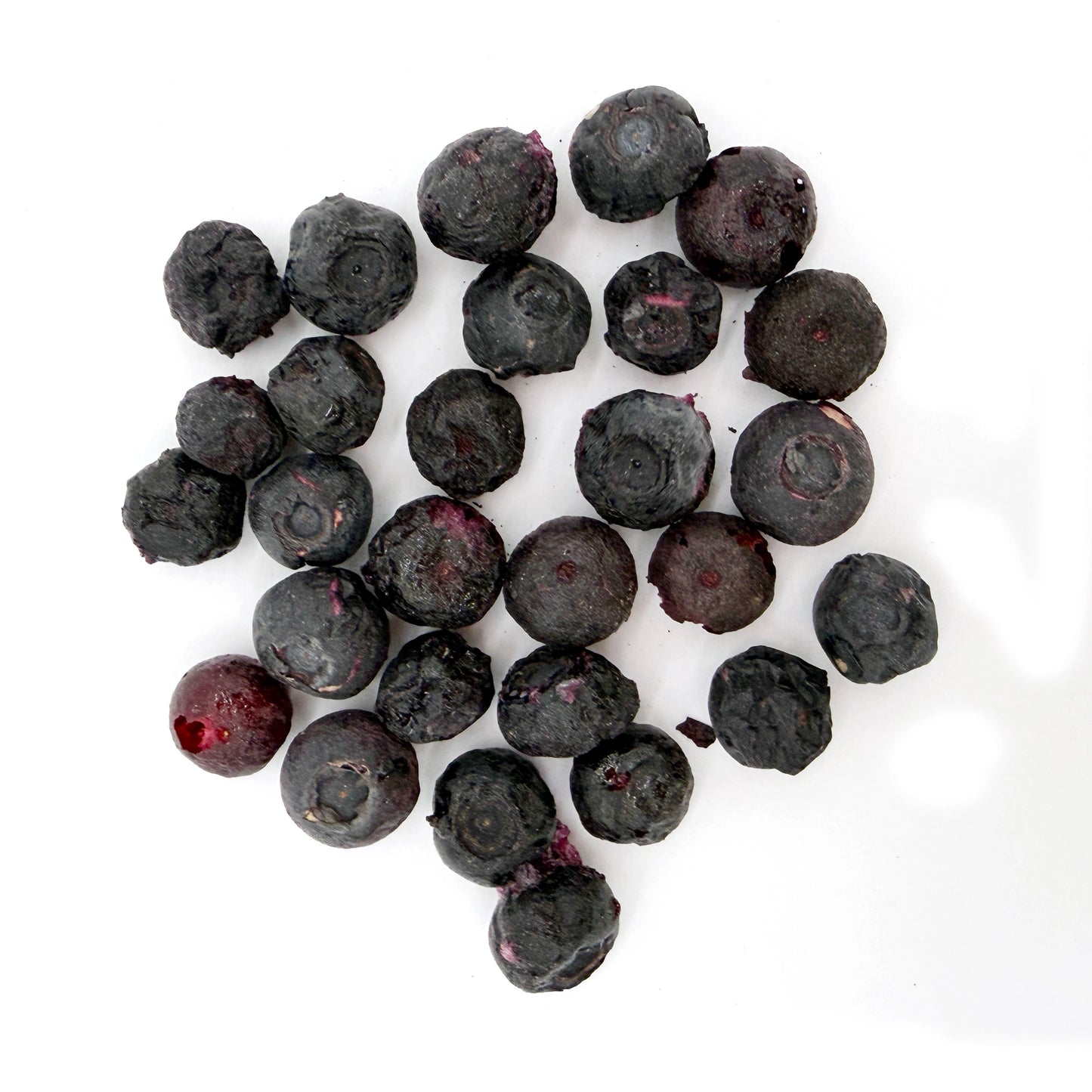 Organic Just Blueberries