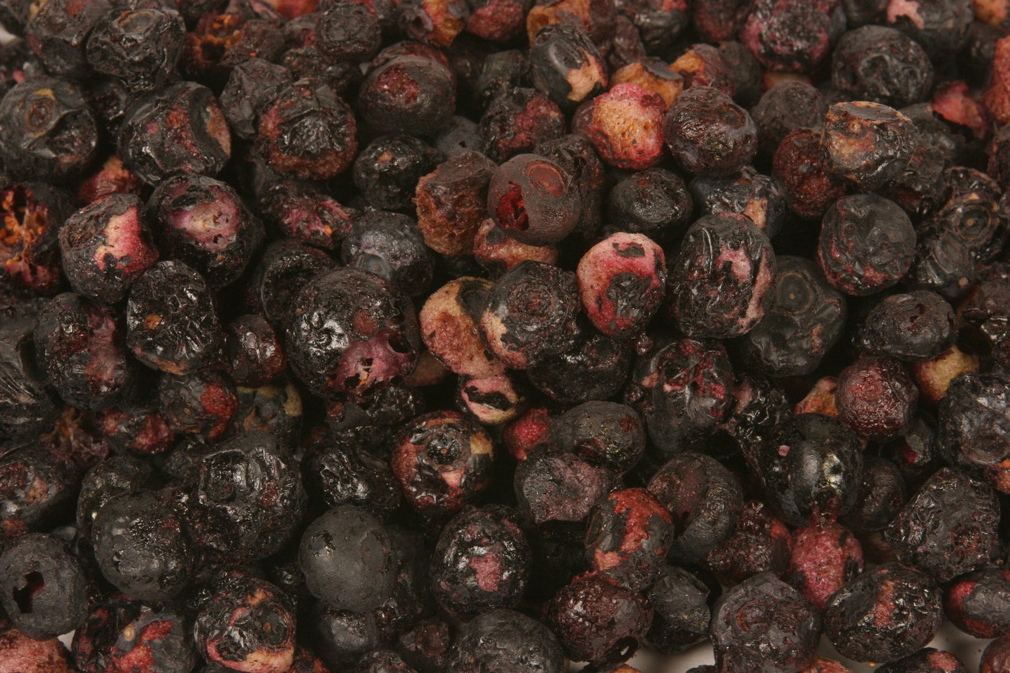 Just Blueberries - Karen's Naturals