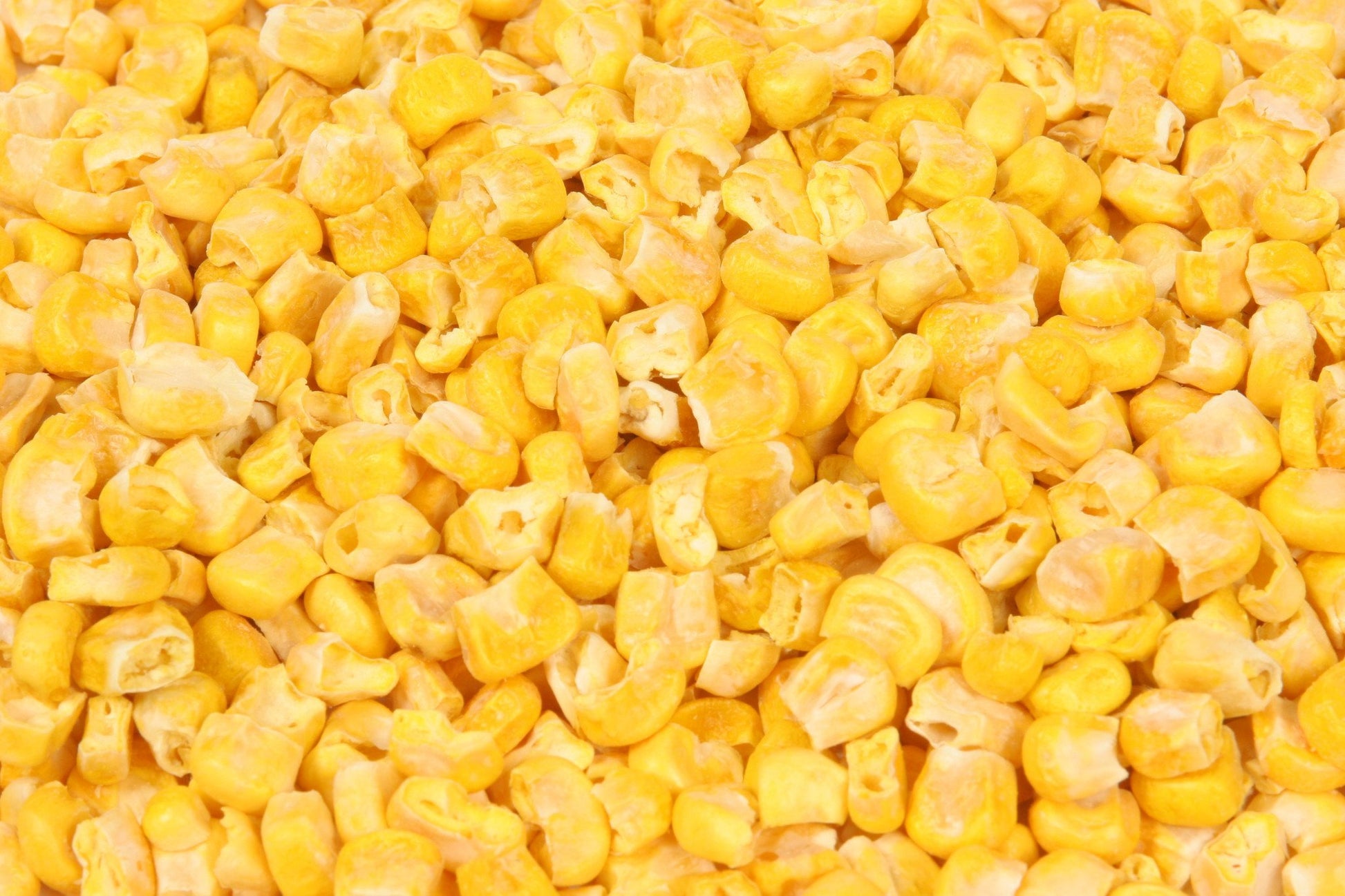 Organic Just Corn - Karen's Naturals