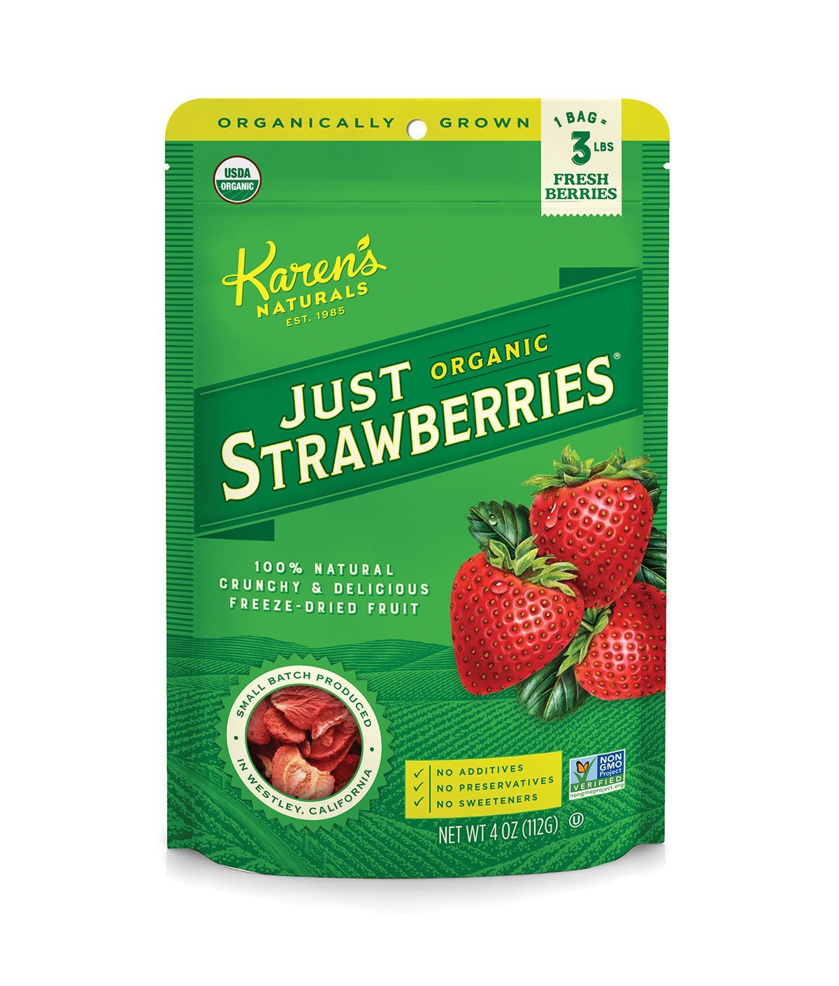 Organic Just Strawberries - Karen's Naturals